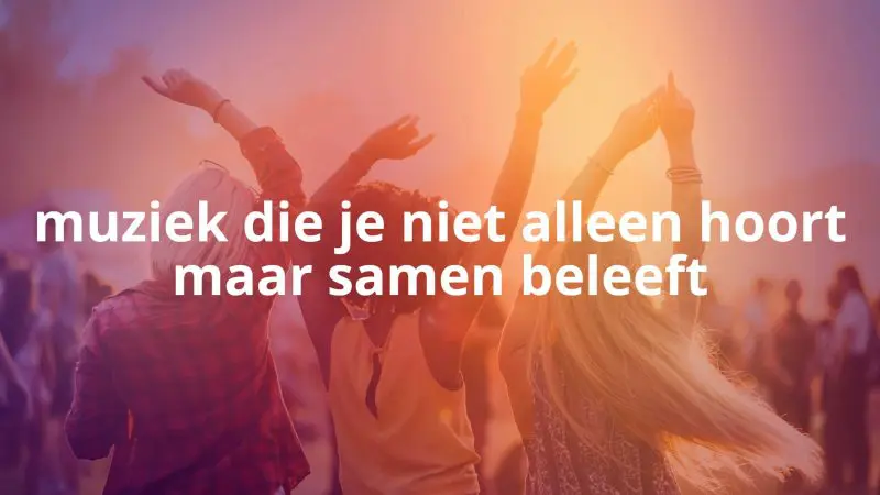 Afbeelding_website_muzyksimmer2