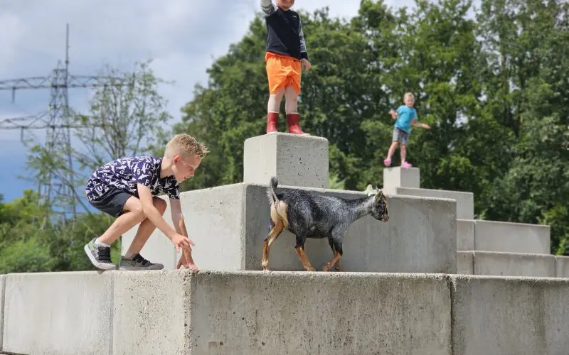 Naturij