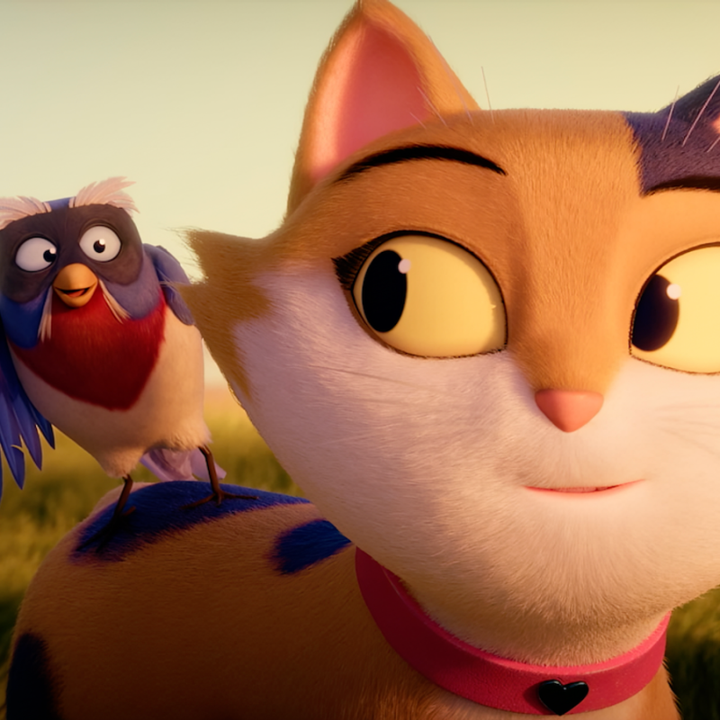 cinekid_moxy cinekid_moxy