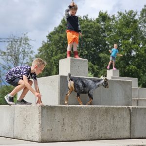 Naturij