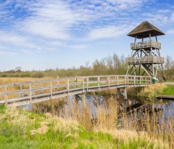 Bridge leading to the lookout tower in the nature area Alde Feanen, Netherlands