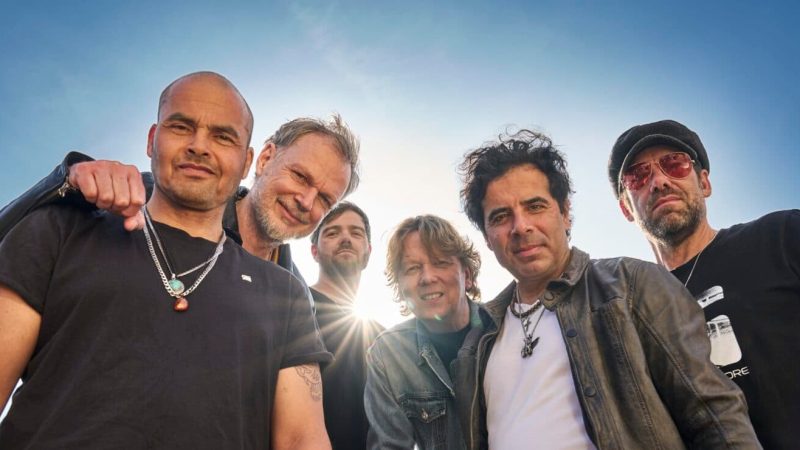 VanDikHout_2025_kleur-scaled-e1757946431461-1600x740